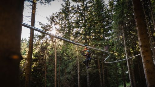 Roller coaster among treetops